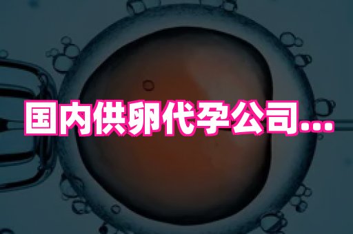 权威助孕网 1