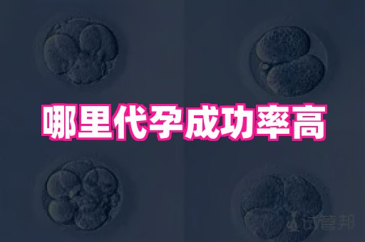 权威助孕网 3